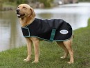 Weatherbeeta-Green-Tec-900D-Dog-Coat-Lite-Plus Sale