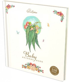 Baby-Records-Book on sale