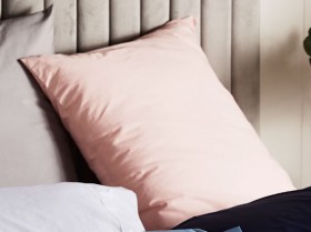 House-Home-250-Thread-Count-Cotton-Rich-Euro-Pillow-Case on sale