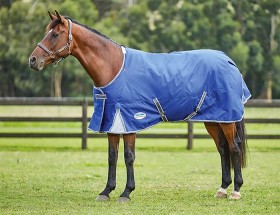 Weatherbeeta-Premier-Free-II-Standard-Neck-Lite on sale