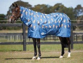 Weatherbeeta-Comfitec-Essential-Combo-Lite on sale