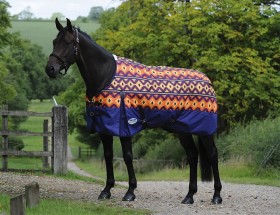 Weatherbeeta-Comfitec-Essential-Standard-Neck-Lite-Plus on sale