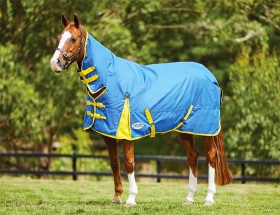 Weatherbeeta-Comfitec-Classic-Combo-Lite on sale