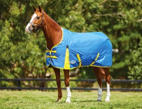 Weatherbeeta-Comfitec-Classic-Standard-Neck-Lite on sale