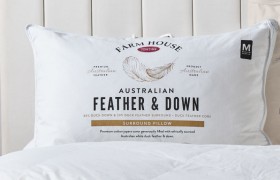 40-off-Tontine-80-Duck-Down-20-Duck-Feather-Standard-Pillow on sale