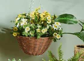 30-off-Bellis-Wicker-Hanging-Basket on sale