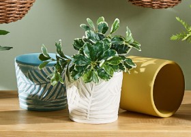 30-off-Ceramic-Planter-Pots-12-x-14cm on sale
