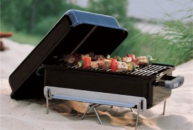Weber-Go-Anywhere-Charcoal-BBQ on sale