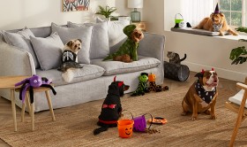 NEW-Tails-Pet-Costumes on sale