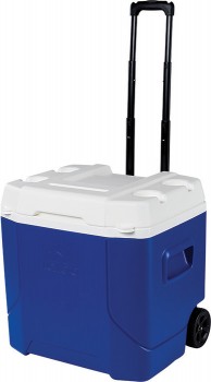 IGLOO-51L-Roller-Cooler on sale