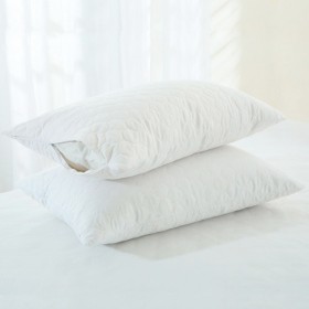 Cotton-Pillow-Protector-by-Cotton-Select on sale