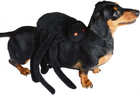 30-off-Spooky-Hollow-Spider-Pet-Costume on sale