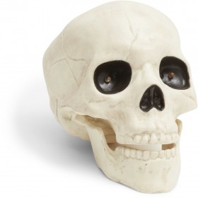 Animated-19cm-Glow-in-the-Dark-Skeleton-Head on sale