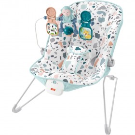 Fisher-Price-Babys-Bouncer on sale