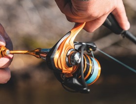 Daiwa-Aird-Spin-Reel on sale