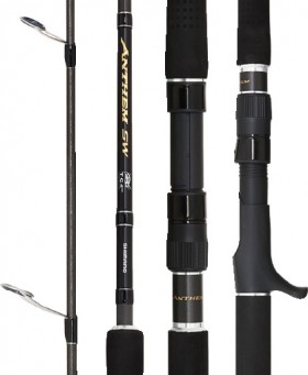 15-off-Shimano-Anthem-Rods on sale