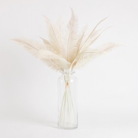 Fern-Bundle-Stem-by-Habitat on sale