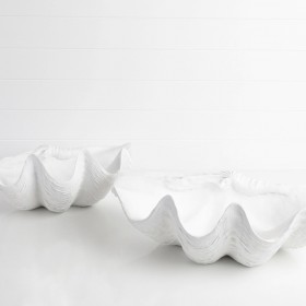 Giant-Clam-Shell-by-MUSE on sale