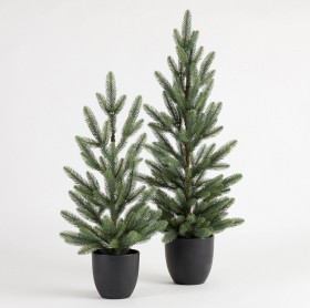Mini-Potted-Christmas-Tree-by-Habitat on sale
