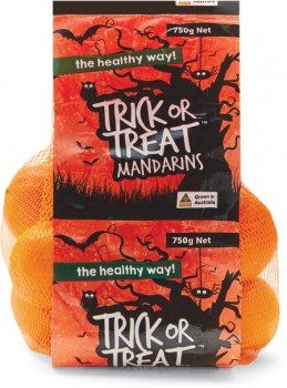Australian-Halloween-Mandarins-750g on sale