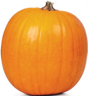 Australian-Halloween-Pumpkin on sale