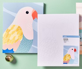 Paint-by-Numbers-Parrot on sale