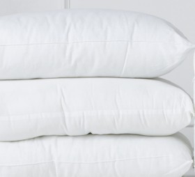 50-off-Brampton-House-Anti-Bacterial-Standard-Pillow on sale