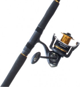 Penn-Warhorse-II-Spin-Combo on sale