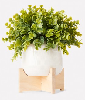 Artificial-Box-Tree-on-Stand on sale