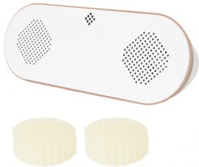 Dual-Pod-Fragrant-Diffuser on sale
